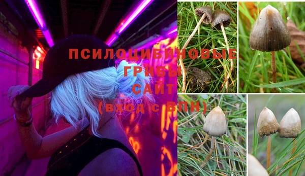 хмурый Абдулино